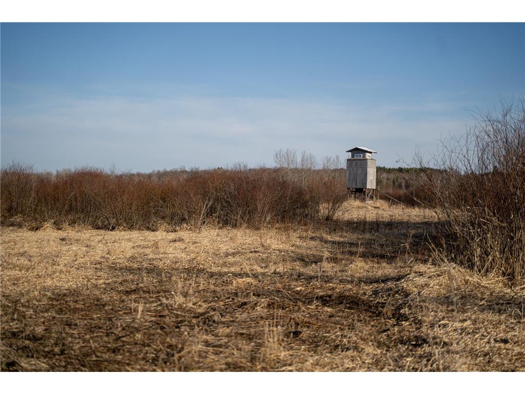 TBD Hwy 71 Wadena MN 56482 7056050 image23