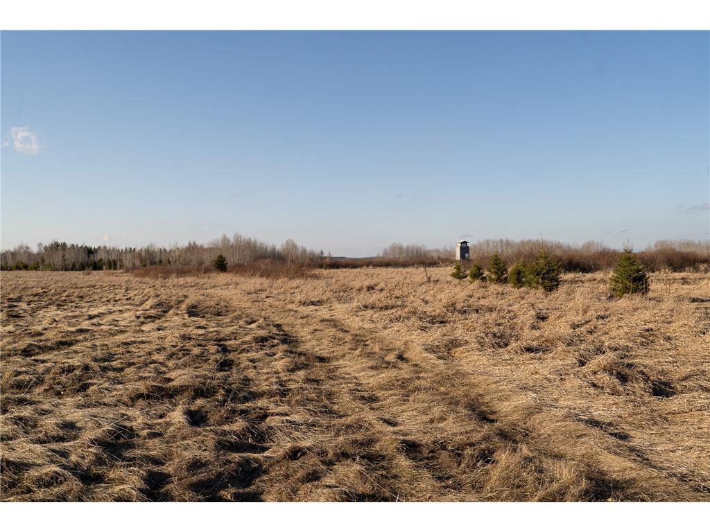 TBD Hwy 71 Wadena MN 56482 7056050 image28