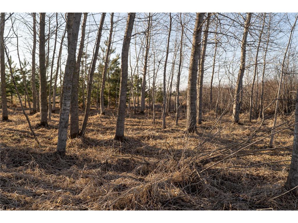 TBD Hwy 71 Wadena MN 56482 7056050 image29