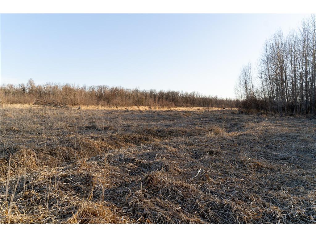 TBD Hwy 71 Wadena MN 56482 7056050 image30