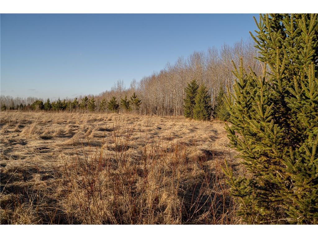 TBD Hwy 71 Wadena MN 56482 7056050 image37