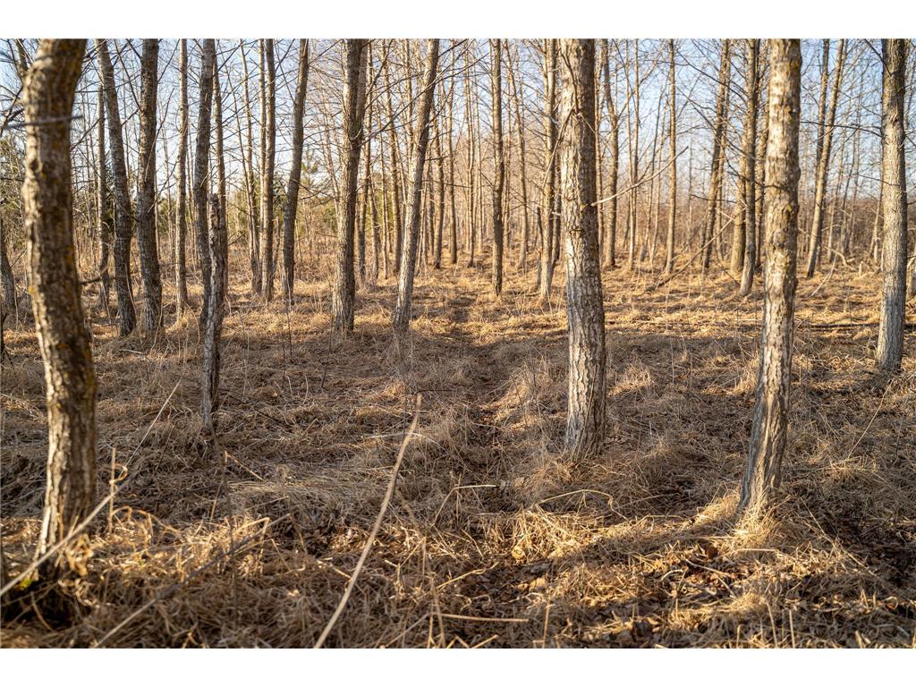 TBD Hwy 71 Wadena MN 56482 7056050 image38