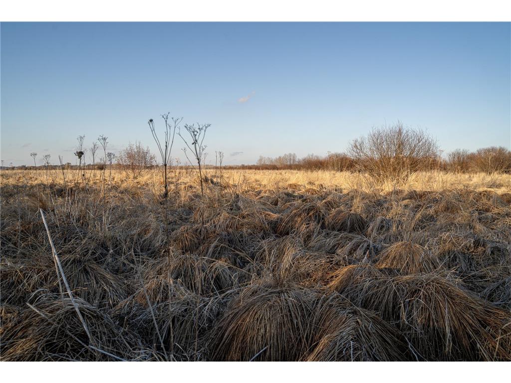 TBD Hwy 71 Wadena MN 56482 7056050 image39