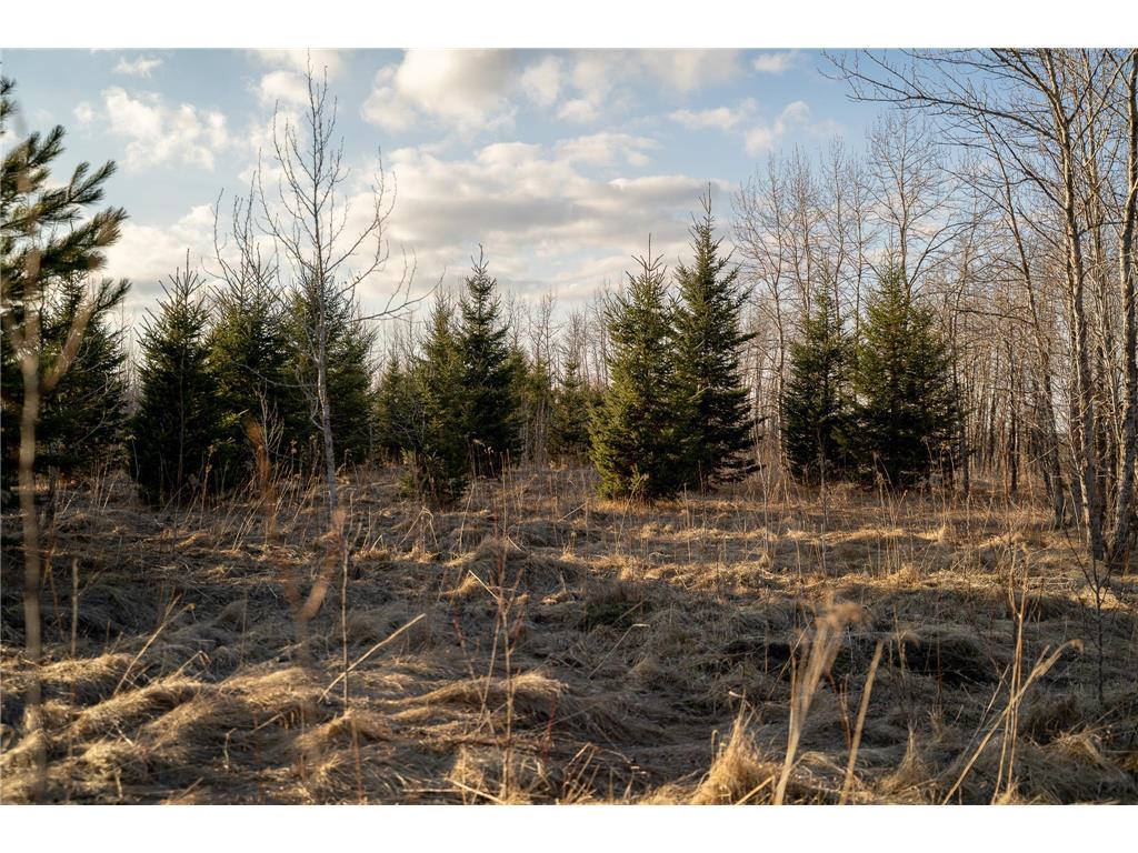 TBD Hwy 71 Wadena MN 56482 7056050 image45