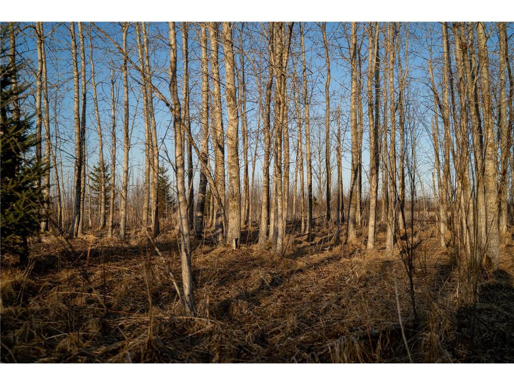 TBD Hwy 71 Wadena MN 56482 7056050 image46