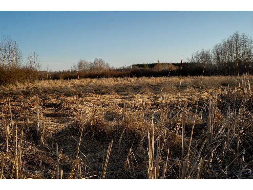 TBD Hwy 71 Wadena MN 56482 7056050 image49