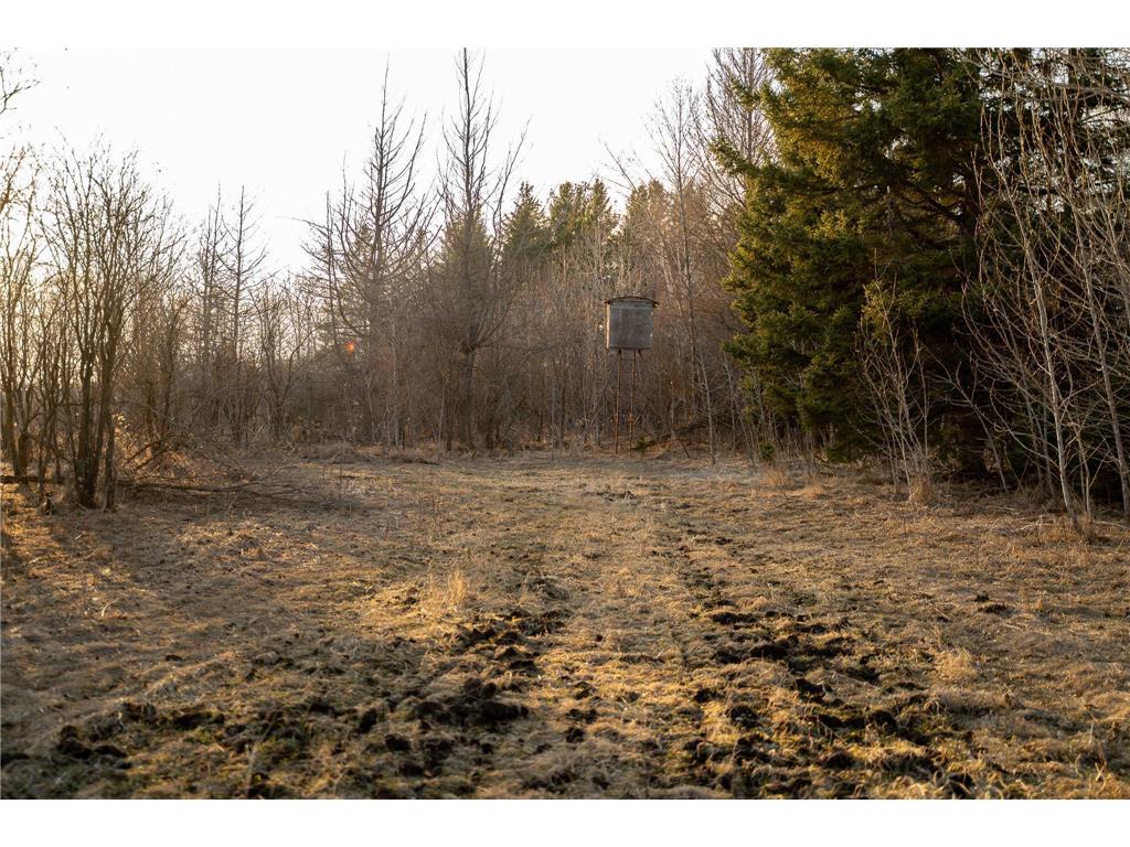TBD Hwy 71 Wadena MN 56482 7056050 image50