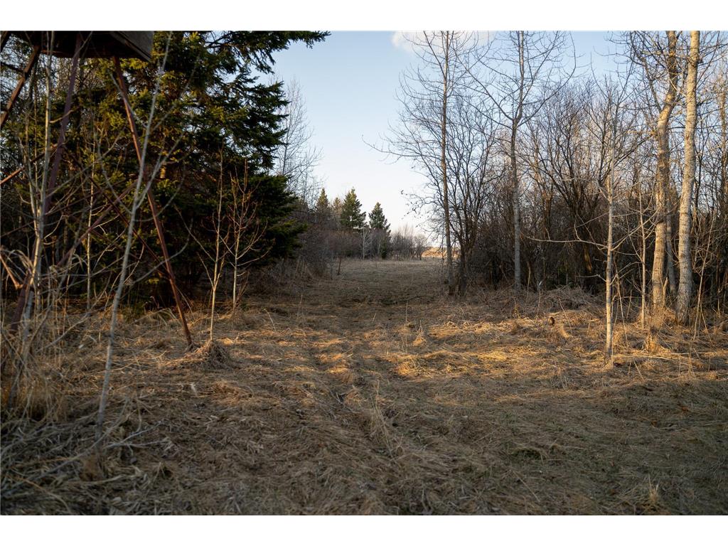 TBD Hwy 71 Wadena MN 56482 7056050 image51