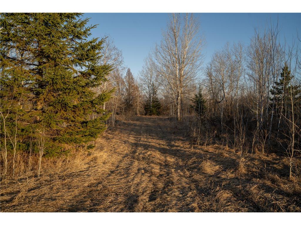 TBD Hwy 71 Wadena MN 56482 7056050 image54