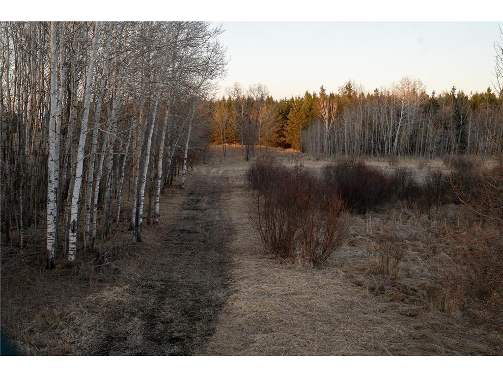 TBD Hwy 71 Wadena MN 56482 7056050 image62