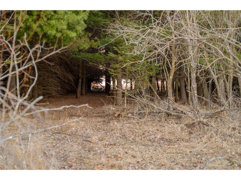 TBD Hwy 71 Wadena MN 56482 7056050 image65