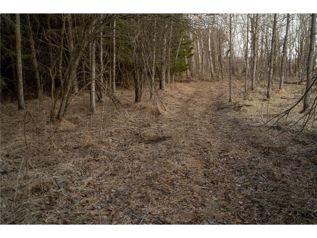 TBD Hwy 71 Wadena MN 56482 7056050 image66