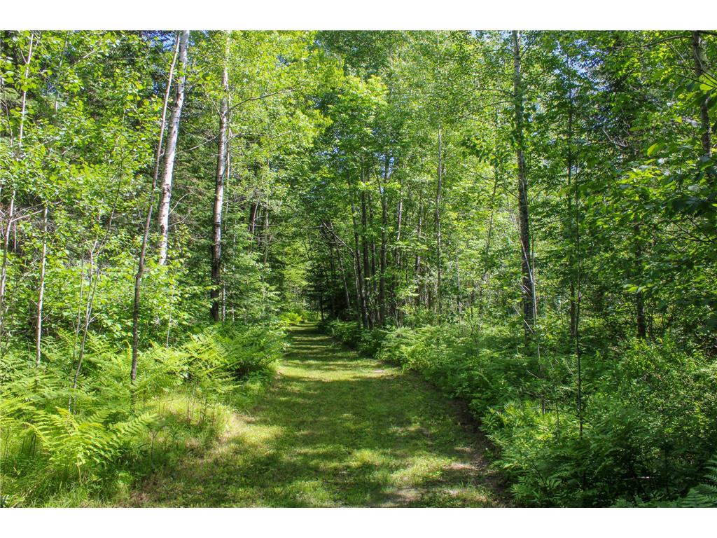 TBD Hwy 73 Floodwood MN 55736 7096482 image10