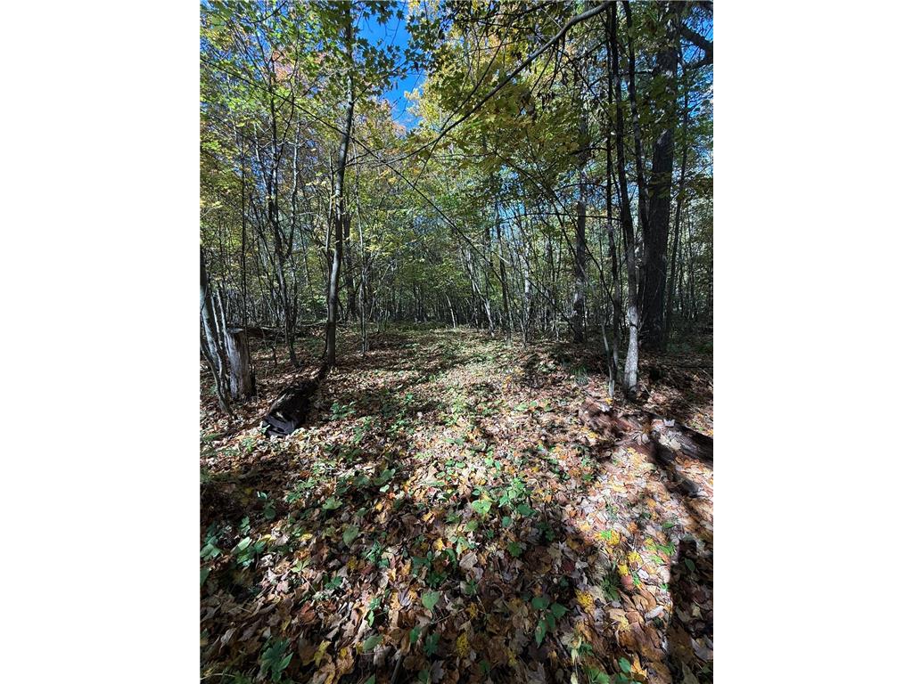 TBD Hwy 8 Beaver Twp WI 54889 6650524 image1