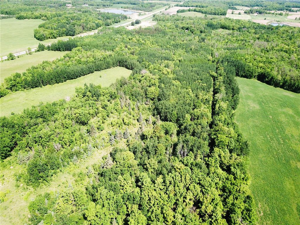 TBD Hwy 92 Holst Twp MN 56634 7089049 image15