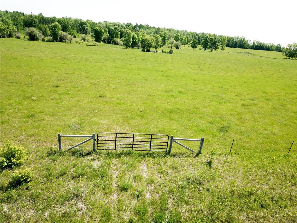 TBD Hwy 92 Holst Twp MN 56634 7089049 image22