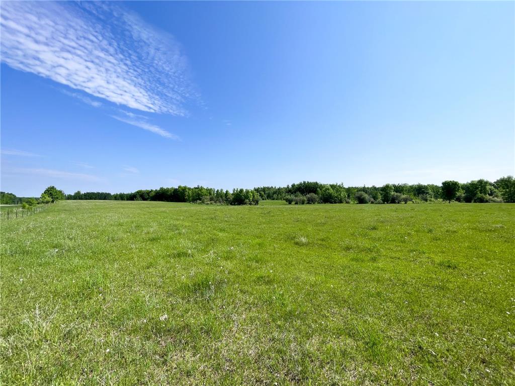 TBD Hwy 92 Holst Twp MN 56634 7089049 image27