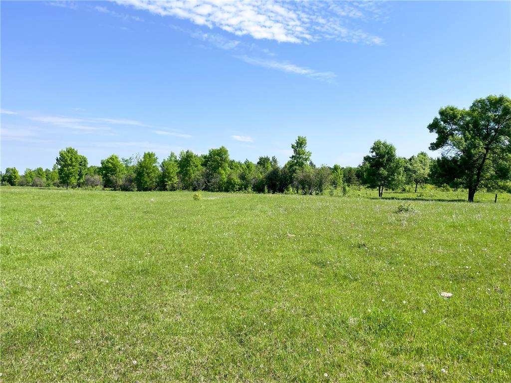 TBD Hwy 92 Holst Twp MN 56634 7089049 image29
