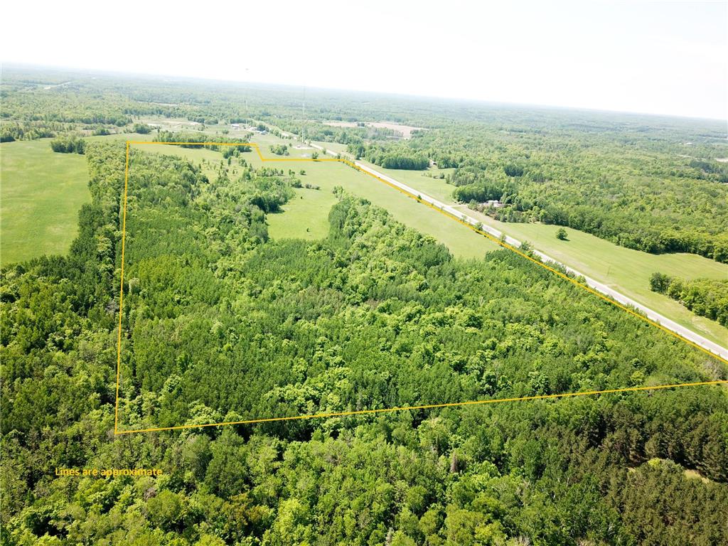 TBD Hwy 92 Holst Twp MN 56634 7089049 image3