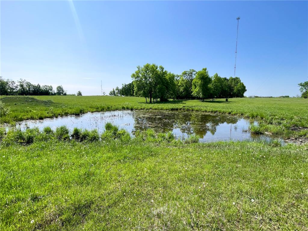 TBD Hwy 92 Holst Twp MN 56634 7089049 image31