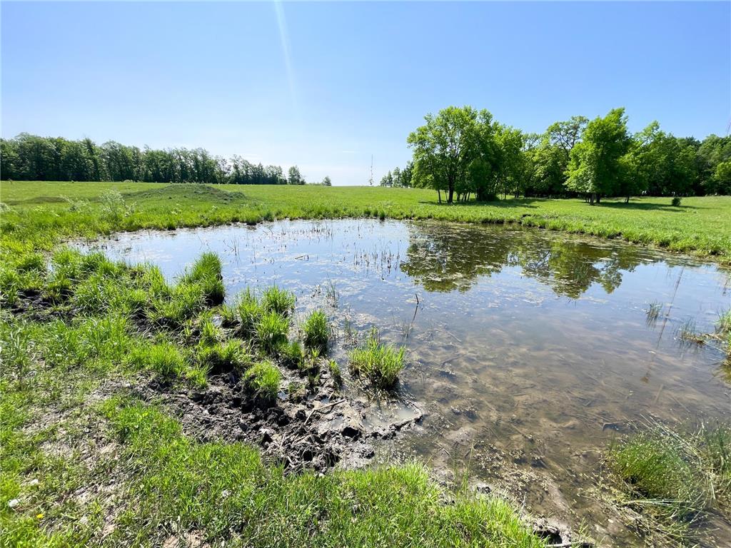 TBD Hwy 92 Holst Twp MN 56634 7089049 image32
