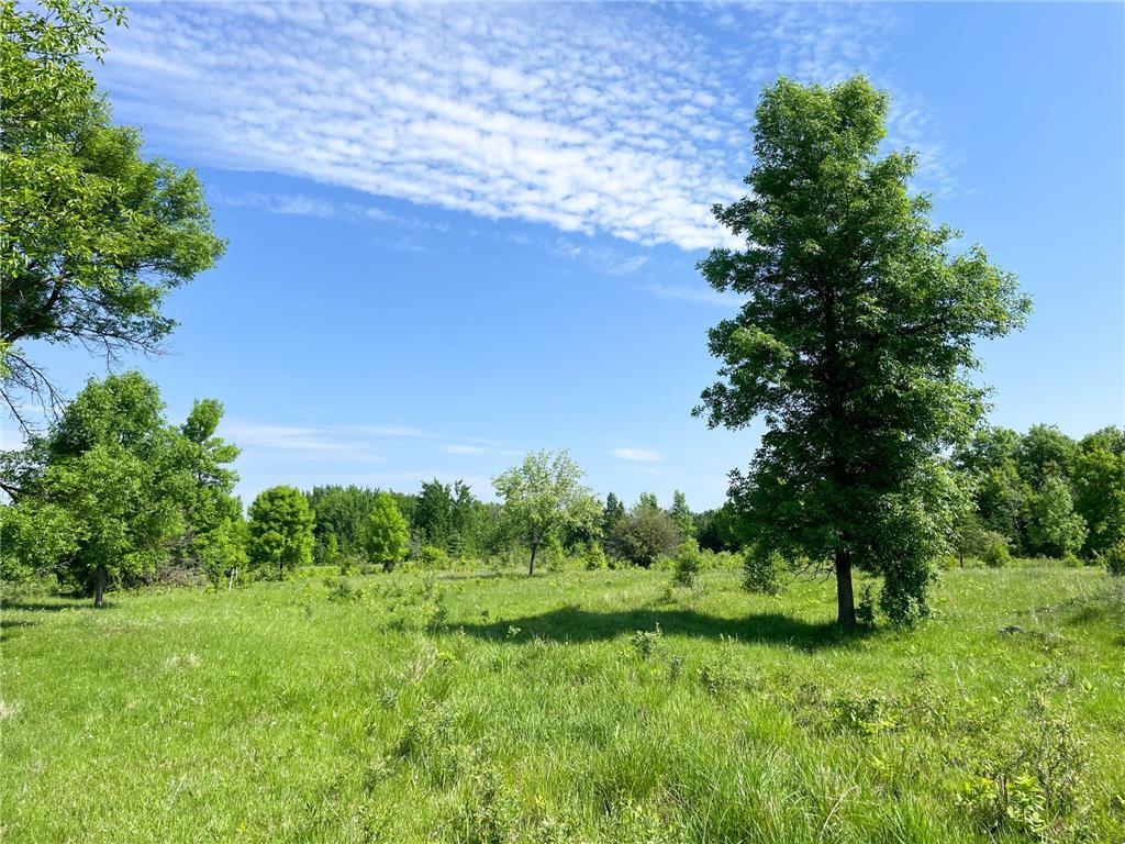 TBD Hwy 92 Holst Twp MN 56634 7089049 image33