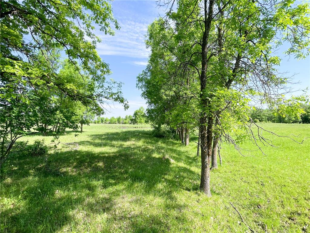 TBD Hwy 92 Holst Twp MN 56634 7089049 image34