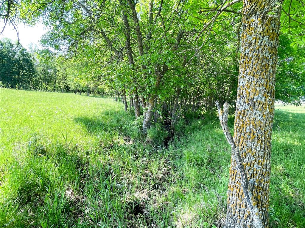 TBD Hwy 92 Holst Twp MN 56634 7089049 image35