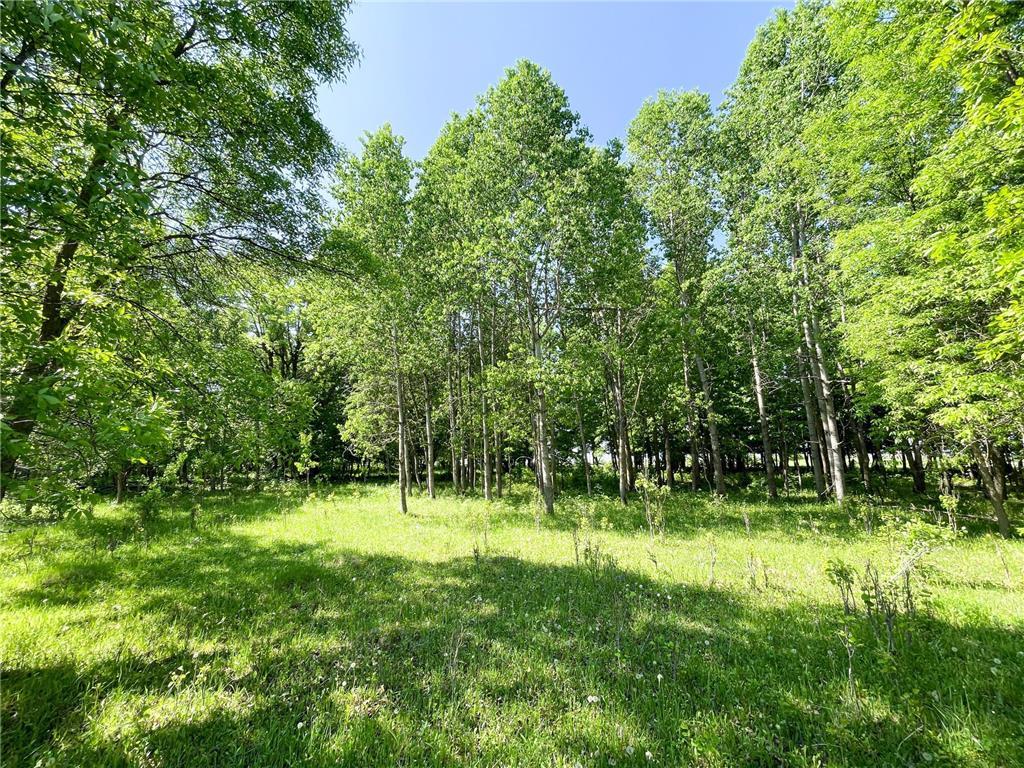 TBD Hwy 92 Holst Twp MN 56634 7089049 image36