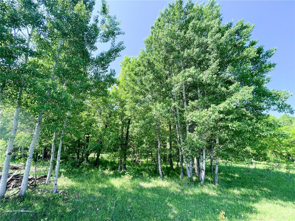 TBD Hwy 92 Holst Twp MN 56634 7089049 image37