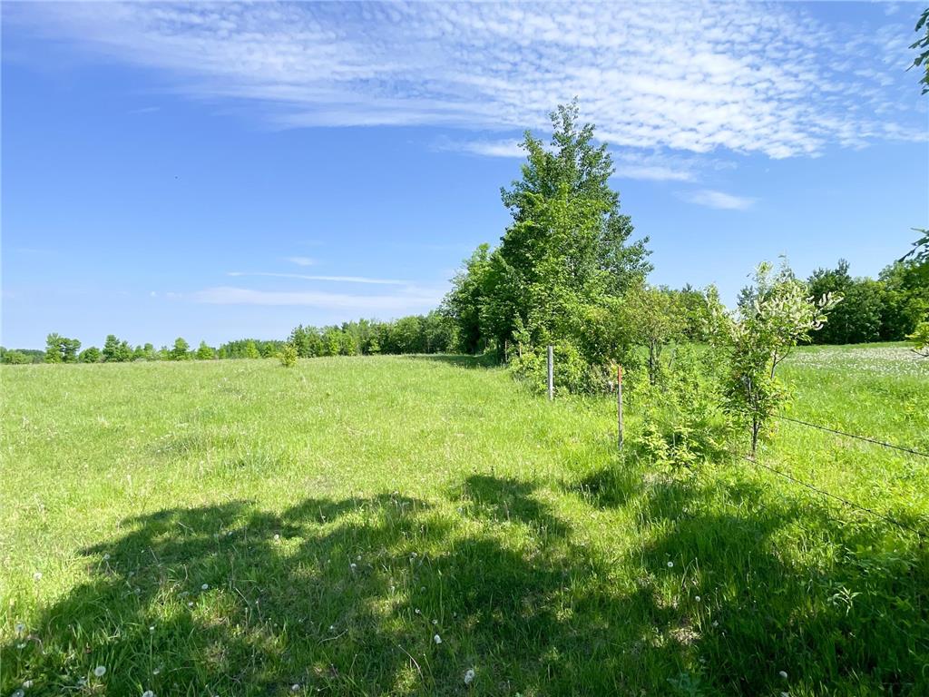 TBD Hwy 92 Holst Twp MN 56634 7089049 image39