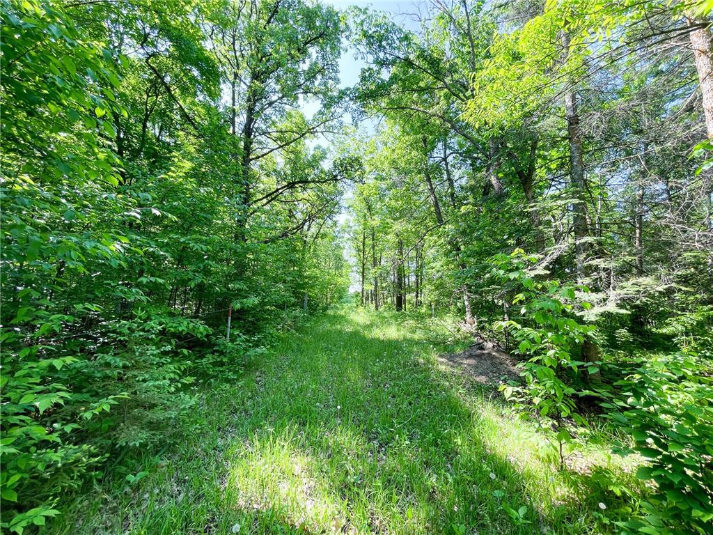 TBD Hwy 92 Holst Twp MN 56634 7089049 image41