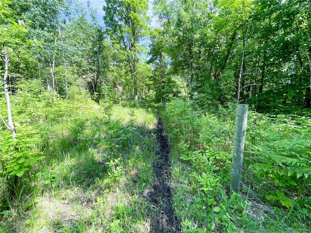TBD Hwy 92 Holst Twp MN 56634 7089049 image42