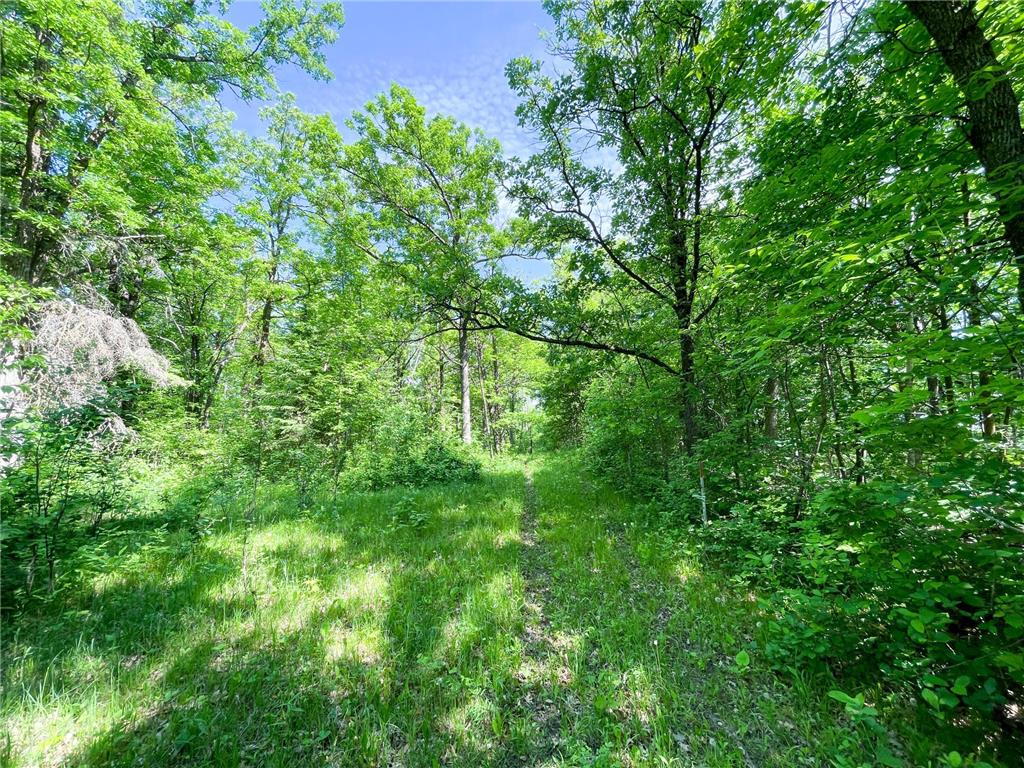 TBD Hwy 92 Holst Twp MN 56634 7089049 image43