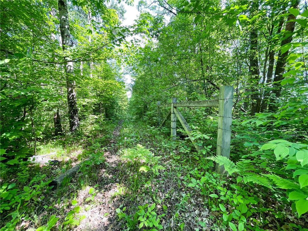 TBD Hwy 92 Holst Twp MN 56634 7089049 image44
