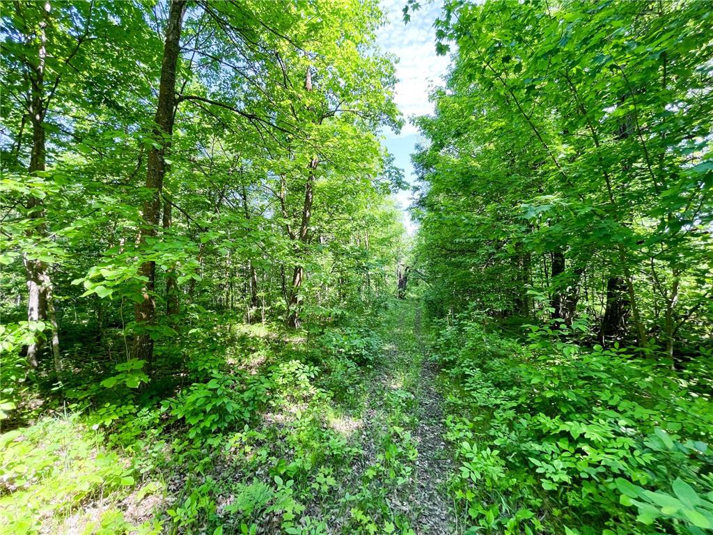 TBD Hwy 92 Holst Twp MN 56634 7089049 image45