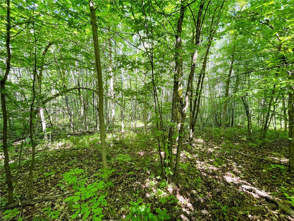 TBD Hwy 92 Holst Twp MN 56634 7089049 image46