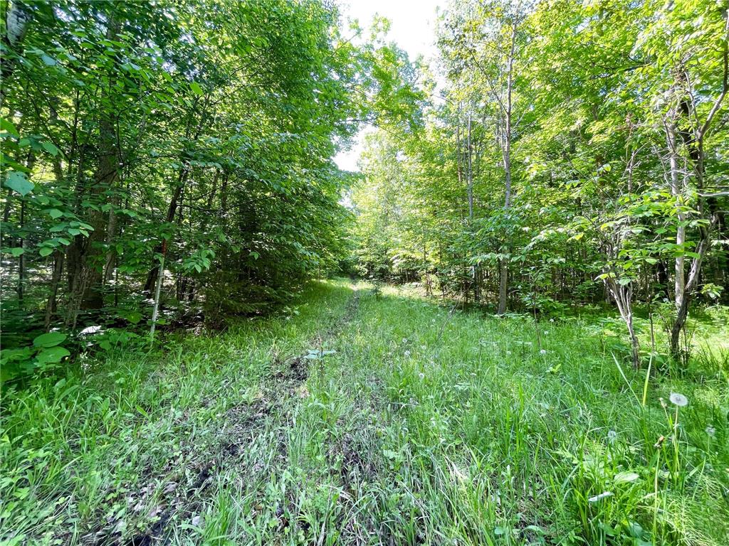 TBD Hwy 92 Holst Twp MN 56634 7089049 image47