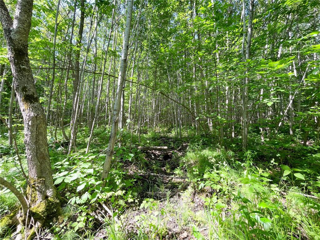 TBD Hwy 92 Holst Twp MN 56634 7089049 image48