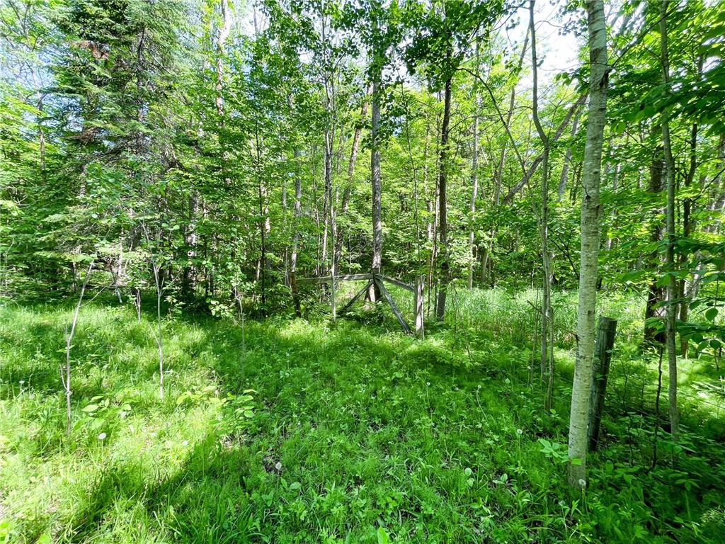TBD Hwy 92 Holst Twp MN 56634 7089049 image49