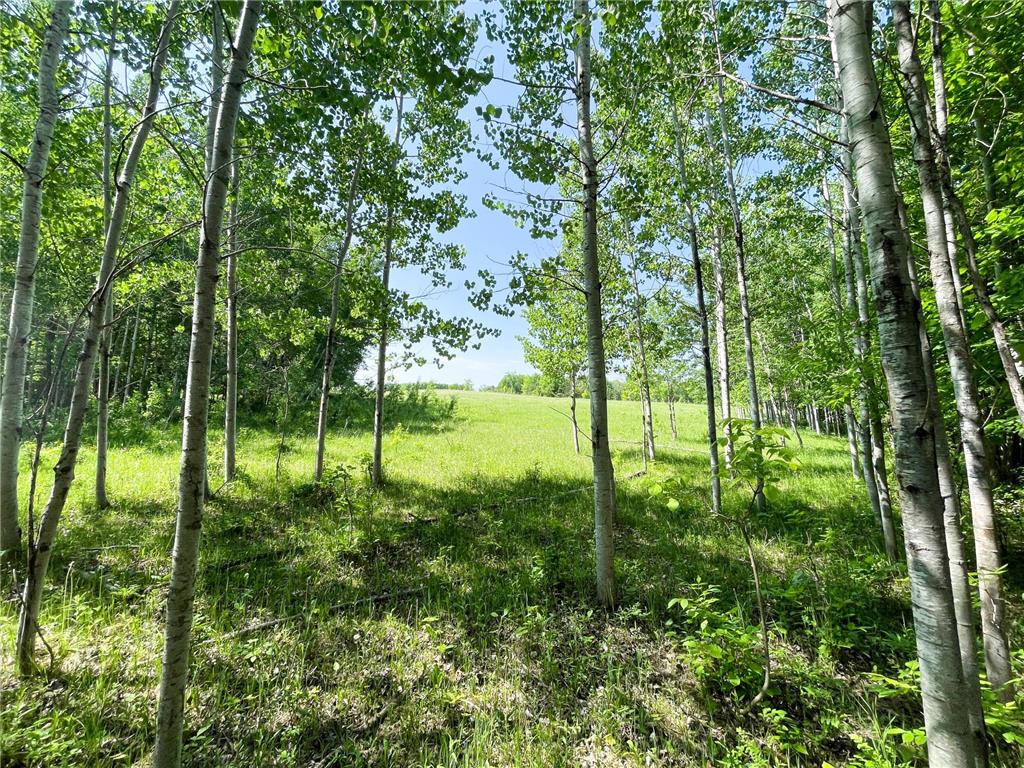 TBD Hwy 92 Holst Twp MN 56634 7089049 image52