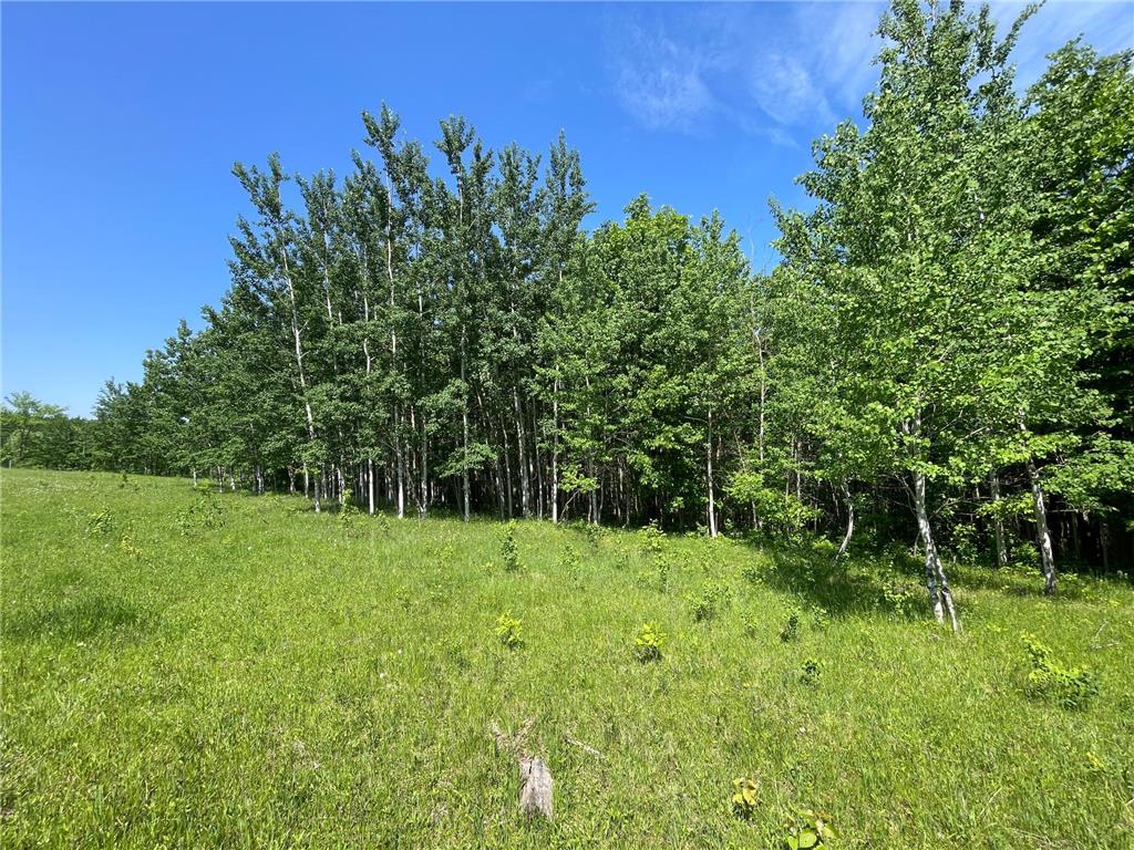 TBD Hwy 92 Holst Twp MN 56634 7089049 image54