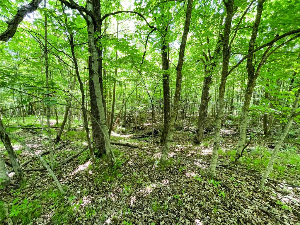 TBD Hwy 92 Holst Twp MN 56634 7089049 image55