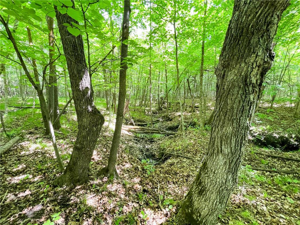 TBD Hwy 92 Holst Twp MN 56634 7089049 image56