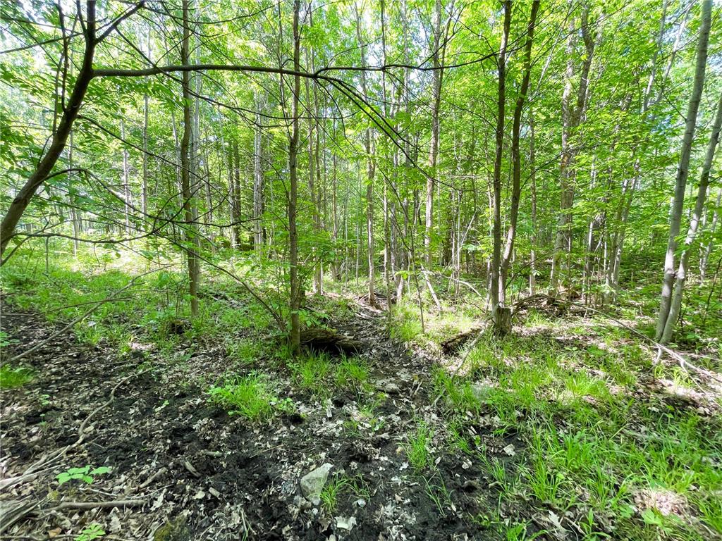 TBD Hwy 92 Holst Twp MN 56634 7089049 image58