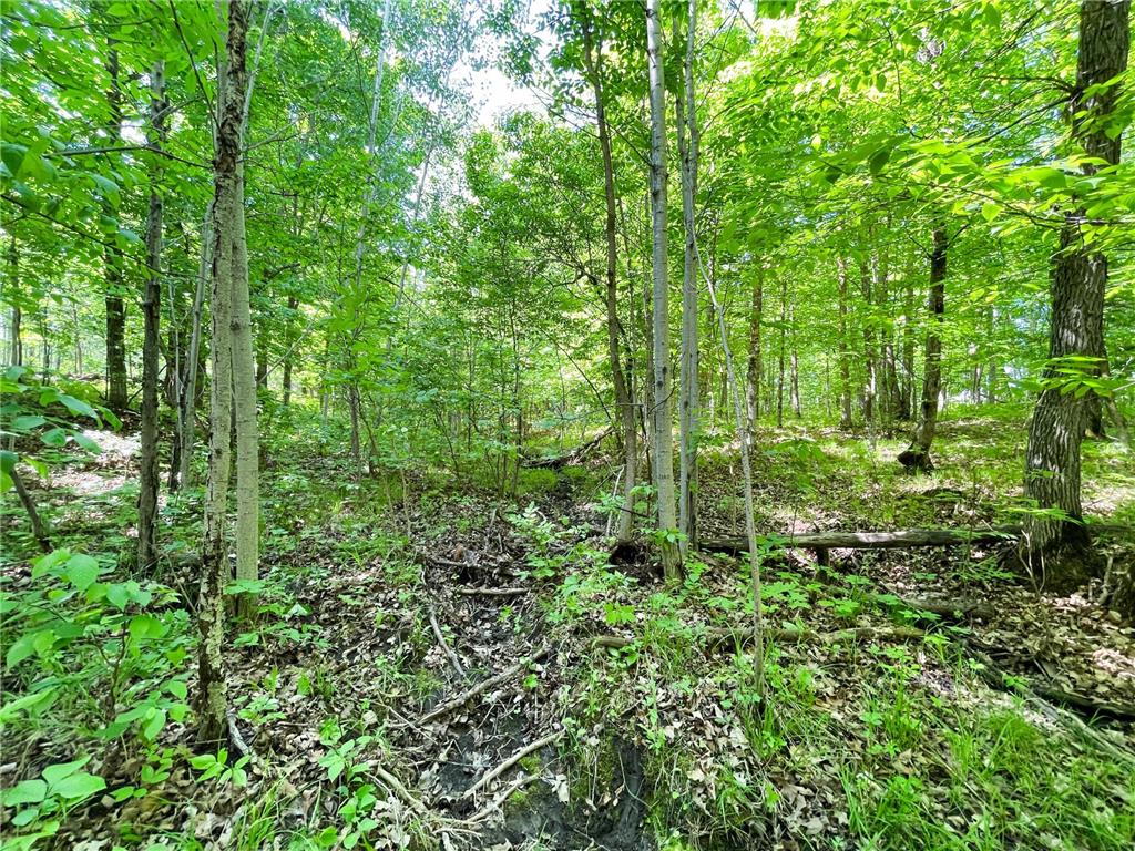 TBD Hwy 92 Holst Twp MN 56634 7089049 image59