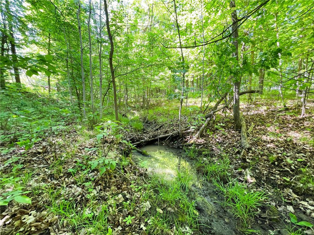 TBD Hwy 92 Holst Twp MN 56634 7089049 image60