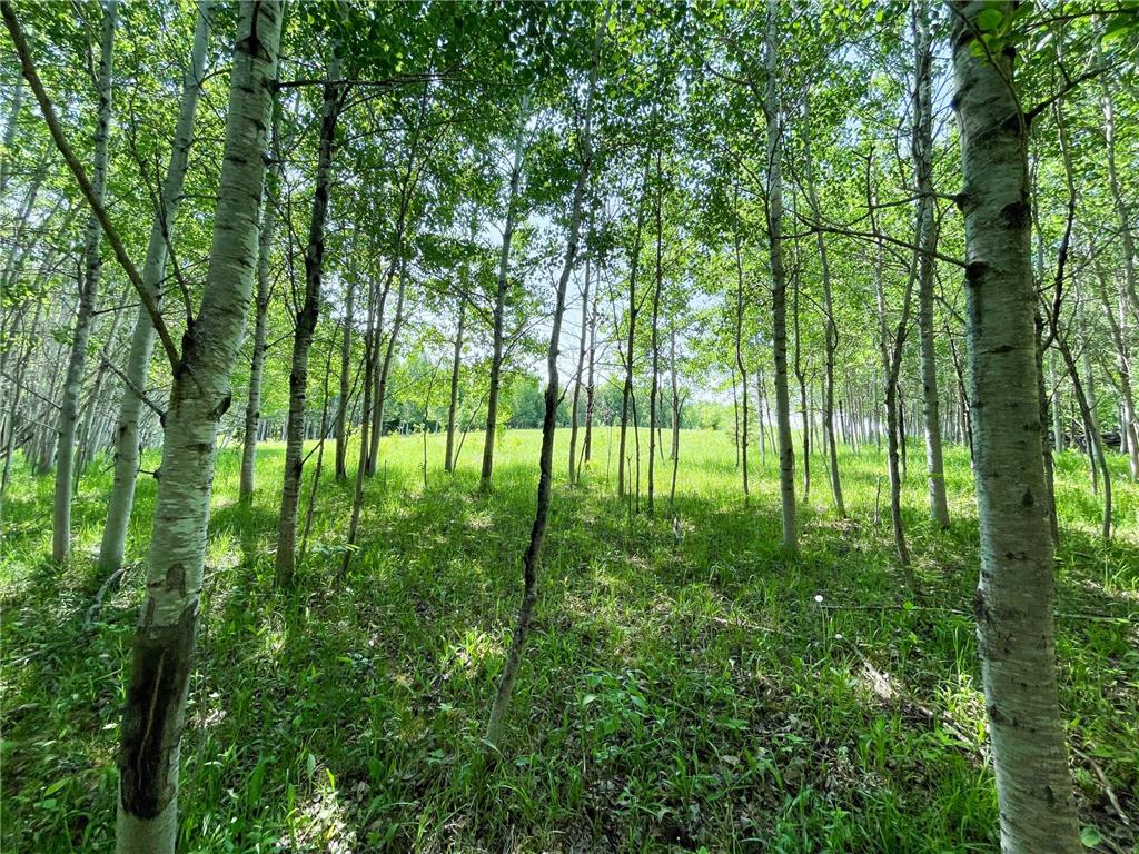 TBD Hwy 92 Holst Twp MN 56634 7089049 image61