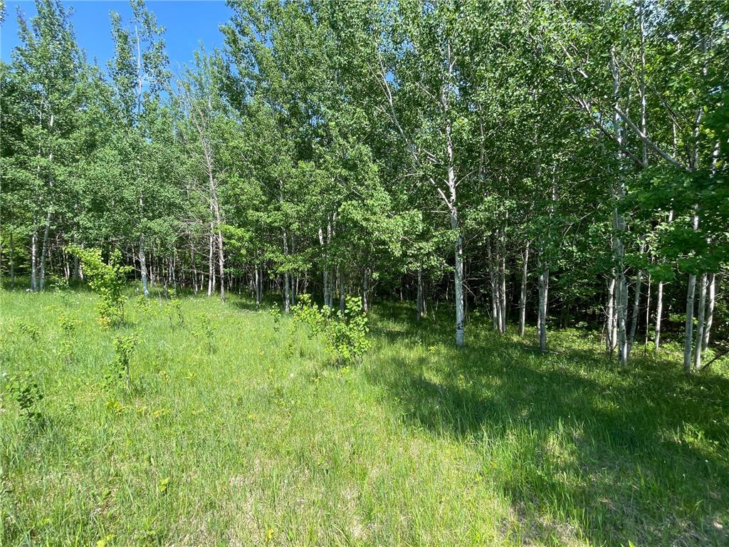 TBD Hwy 92 Holst Twp MN 56634 7089049 image63