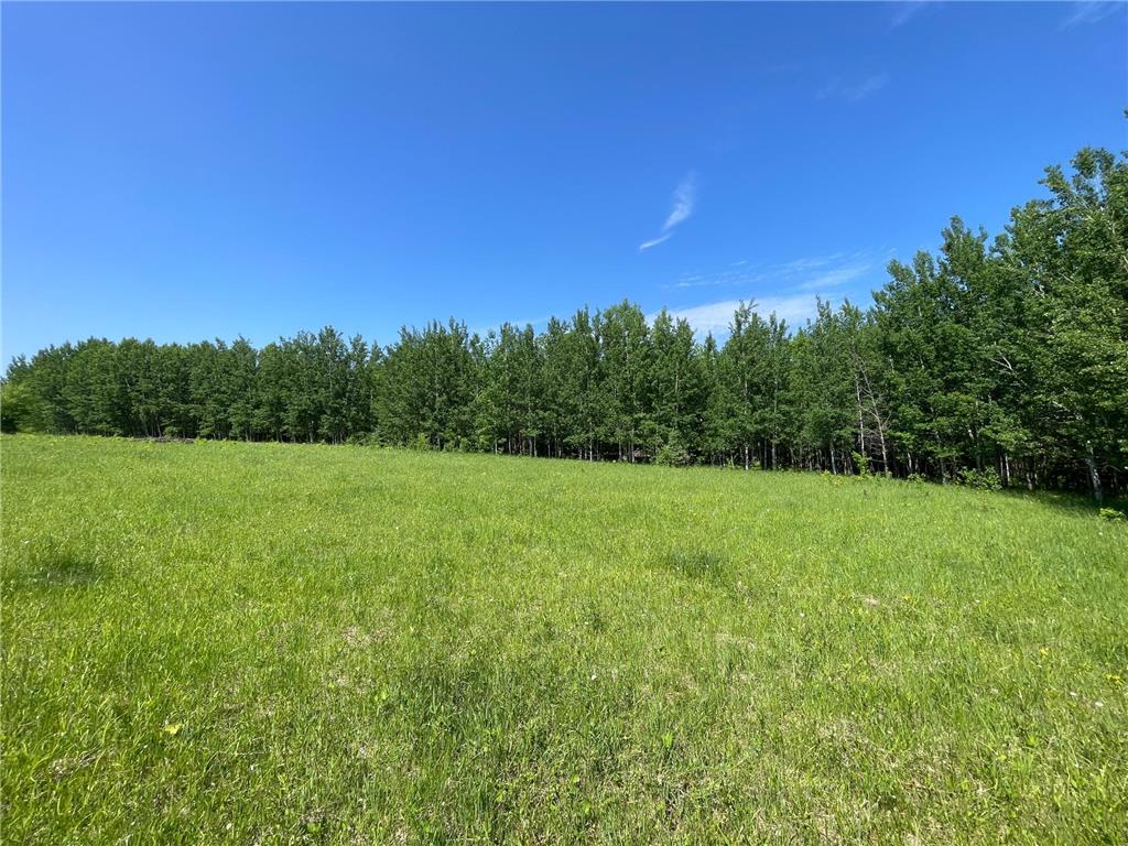 TBD Hwy 92 Holst Twp MN 56634 7089049 image64